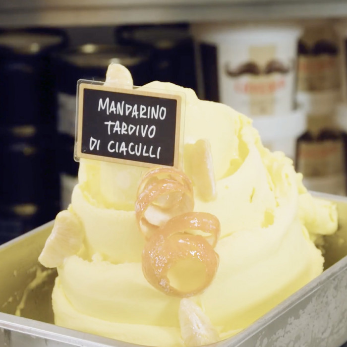 Prodotti per gelateria | Acquista online su Gelq.it | PASTA MANDARINO TARDIVO DI CIACULLI COMP. "B" Leagel in Paste di frutta Prodotti per gelateria | Acquista online su Gelq.it | PASTA MANDARINO TARDIVO DI CIACULLI COMP. "B" Leagel in Paste di frutta