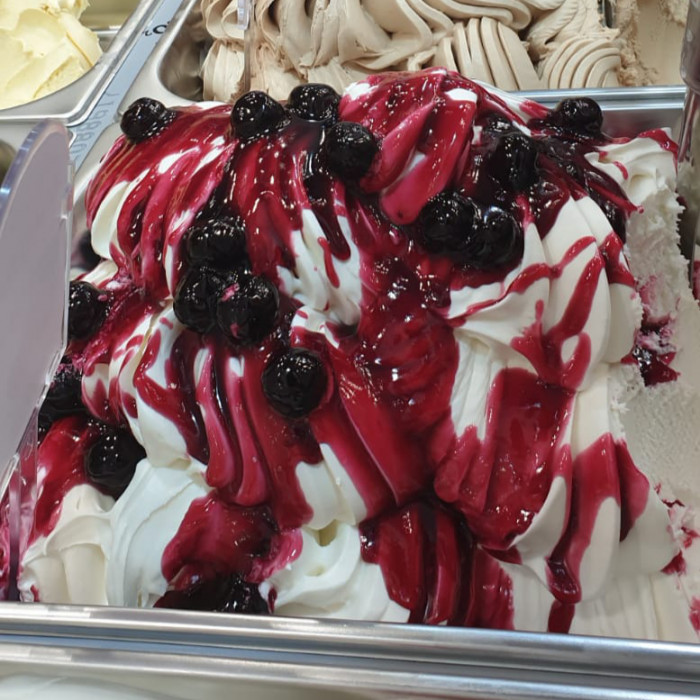 Gelq.it VARIEGATO AMARENA GOURMET SOUR CHERRY 3 Kg. Toschi Vignola 1 can of 3 kg. Buy