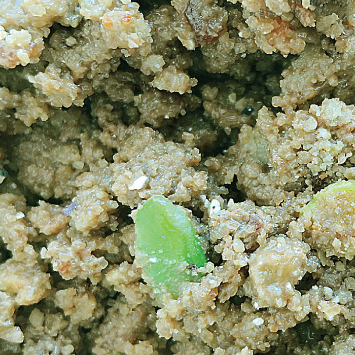 Elenka PISTACHIO CRUMBLE CREAM GLUTEN FREE bucket of 2,5 kg. Buy