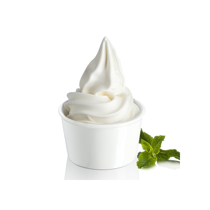 lactose free froyo