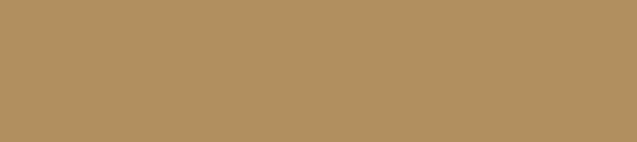 Cocoa powder and mass for ice cream shop | Buy online | Gelq.it