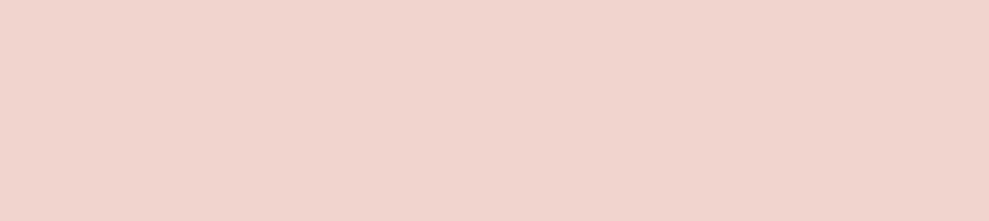 Bases 50 for ice cream shop | Buy online | Gelq.it