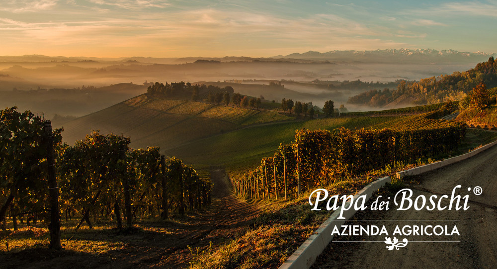 La Nocciola Piemonte IGP Papa dei Boschi, eccellenza per la tua gelateria.